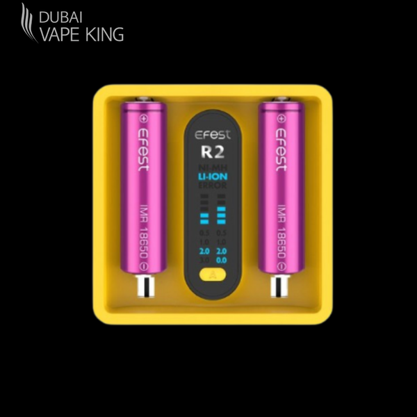 EFEST iMate R2 Charger