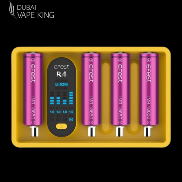 EFEST iMate R4 Charger