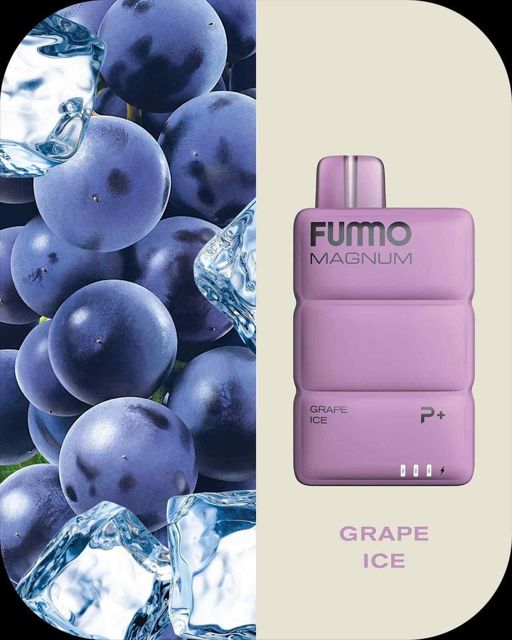 FUMMO MAGNUM 8000 PUFFS DISPOSABLE DEVICE - Dubai Vape King
