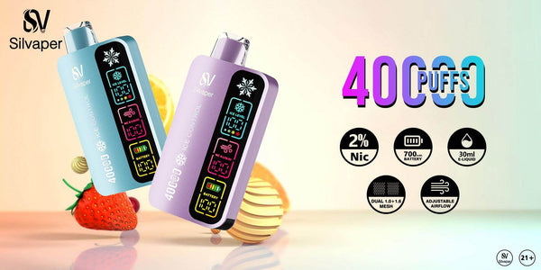 Silvaper Ice Control 40000 Puffs Disposable Vape - Vape King