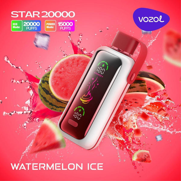 VOZOL STAR DISPOSABLE DEVICE(20000 PUFFS) - Dubai Vape King