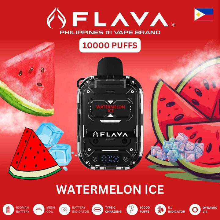 FLAVA Nimmbox 10000 Puffs Disposable Device - Dubai Vape King