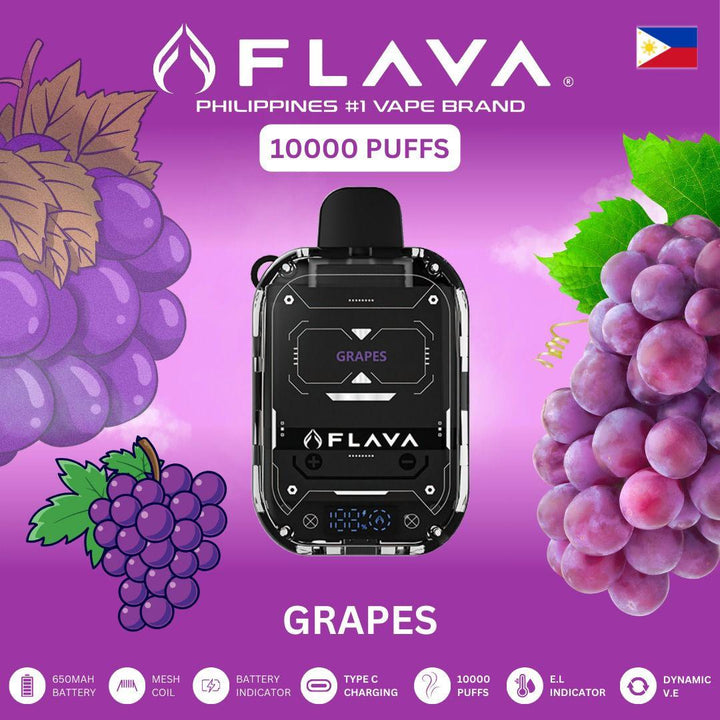 FLAVA Nimmbox 10000 Puffs Disposable Device - Dubai Vape King