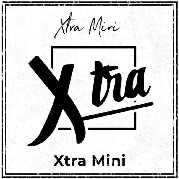 Xtra MINI Disposable Device - (800 Puff) - Vape King